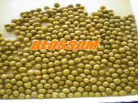 canned green pea