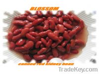 canned red kidney bean
