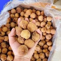 WHOLE DRIED LYCHEE VIET NAM HIGHQUALITY// EST PRICE FOR EXPORT 