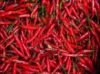 indian Chillies whole & ground,chilli flakes,stemless chillies