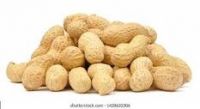 Groundnuts / Peanuts