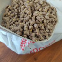 Maize pellets for biogas, animal feed or heating pellets
