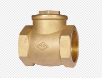 Brass check valve
