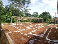 Coir Peat Coconut Pith Block