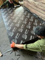 Waterproof GLue Film faced plywood for construction building formwork from factory in Vietnam WA+84-975807426