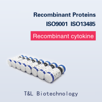 Recombinant Human IL-2 Protein