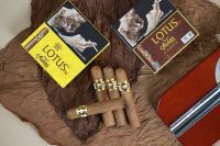 Cigar Lotus NO I