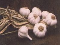 garlic and onion essential oil