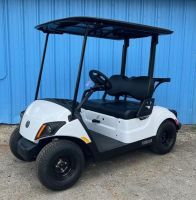 Electric Golf Cart IN STOCK