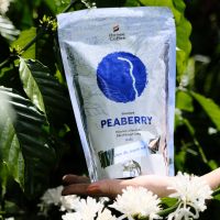 Peaberry Roasted Coffee Beans (Culi) special beans