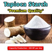 Tapioca Starch Premium Quality 300 MT per day