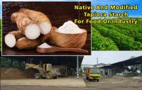 Tapioca Starch - Tapioca Flour - Cassava Flour - Cassava Starch