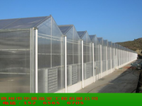 Polycarbonate greenhouse