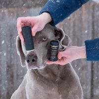 Dog Nose Balm and Paw Balm