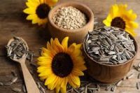 sunflower seeds