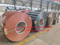 PRE PAINTED GALVALUME STEEL COILS BOBINAS , PRE PINTADAS REVESTIDAS DE ALUMINIO Y ZINC TED GALVANIZED STEEL COILS
