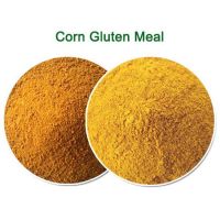 Poultry Feed Corn Gluten Meal 60% Protein For Animal