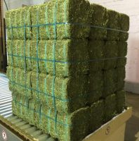 Alfalfa Hay Pellet for Animal Feed