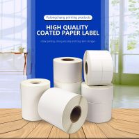 Blank coated paper label