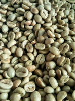 Coffee Beans Robusta West Java