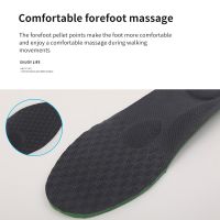 Hippoly Absorbent Breathable Massage Insoles (support Customization)