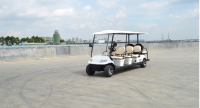 six seat electric golf cart