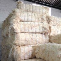 Sisal fiber