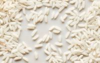 https://jp.tradekey.com/product_view/504-Rice-Grains-10263975.html