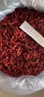 Dried Chilli