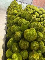 Frozen durian