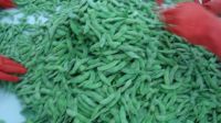 soy beans