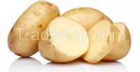 Potatoes