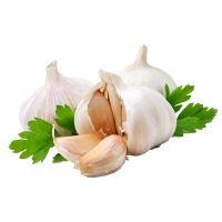 garlic extract po...