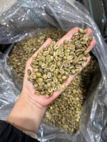 https://es.tradekey.com/product_view/Arabica-Green-Coffee-Bean-10263505.html