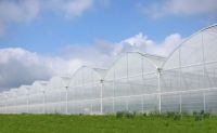 Greenhouse Plastic Film