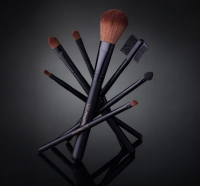 Professional Make-up Brush Set by MagRuss (7 pcs + case)