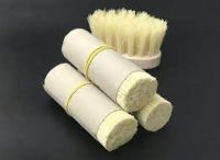 https://www.tradekey.com/product_view/100-Natural-Mexican-Tampico-Fiber-For-Brush-making-10102987.html