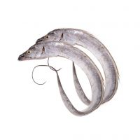 Frozen Ribbon Fish W/R