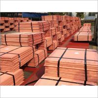 Copper Cathode Plates 99.9