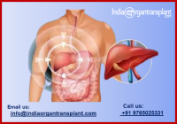 Top 12 Liver Transplant Surgeons of India