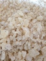 GUM DAMMAR INDONESIAN IDNCOMMODITY PT BINA MULYA LAMPUNG