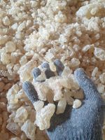 Gum Damar A / Dammar Resin / Gomma Dammar