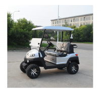 Zycar 2 Seat Electric Golf Cart Buggy Custom Golf Push Carts Wholesale Simple Eec Approved 