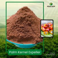 Palm Kernel Cake