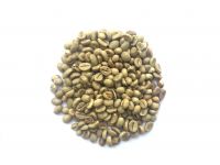 robusta coffee bean