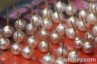 https://ar.tradekey.com/product_view/14k-Gold-Round-Pearl-Earring-Stud-2140158.html