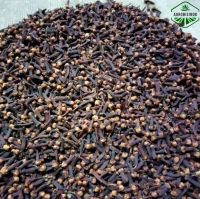 Sale Best Price clove premium quality +62812 8009 9571