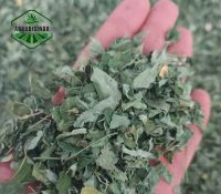 Moringa Leaves dried Premium Quality +62812 8009 9571