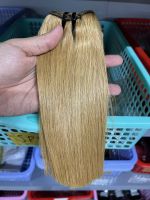 Remy Vietnam Human Hair Color Weft