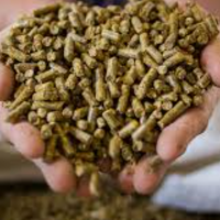 https://www.tradekey.com/product_view/Animal-Feed-Available-For-Sale-10180043.html